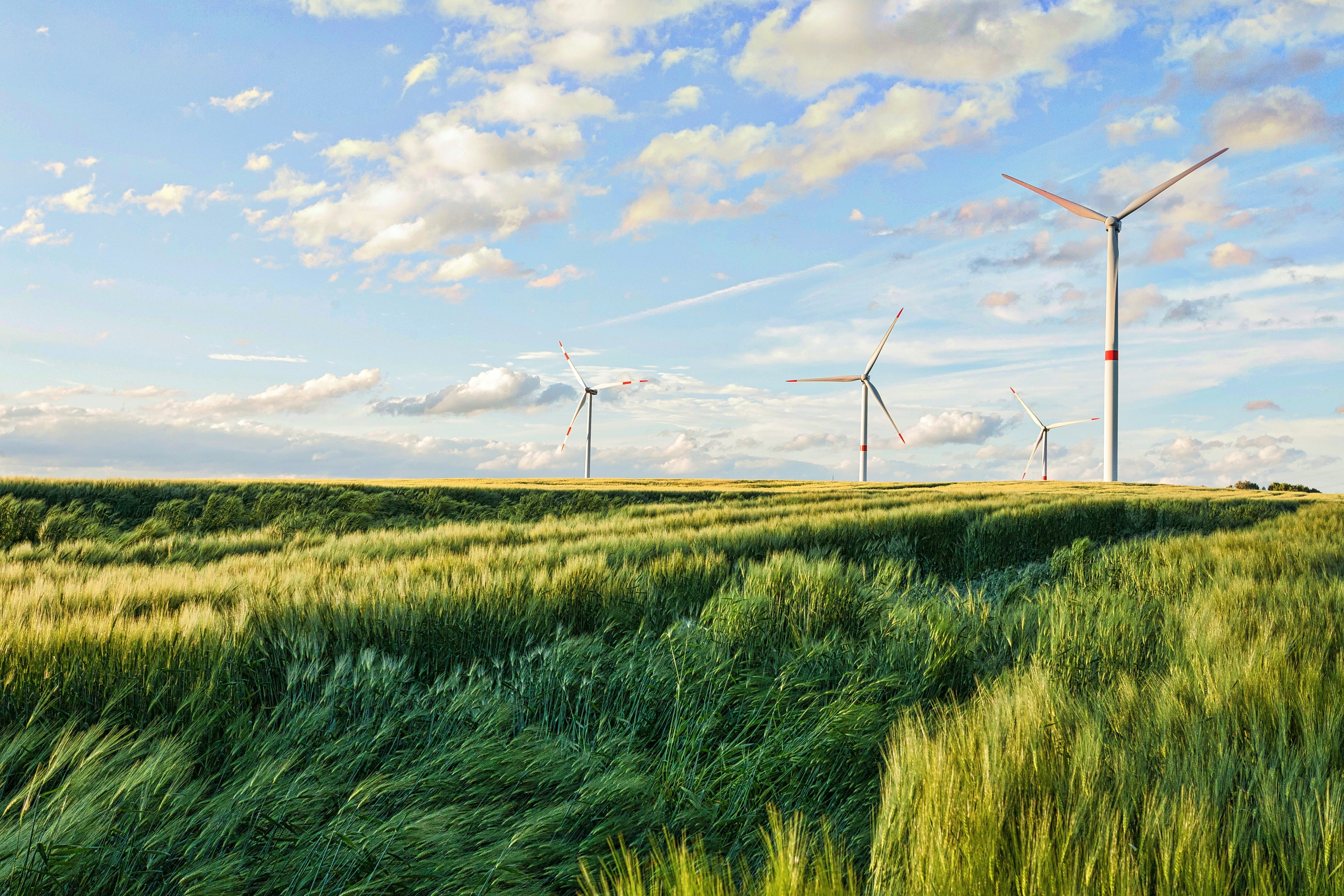 Green Energy Wind Energy Impact
